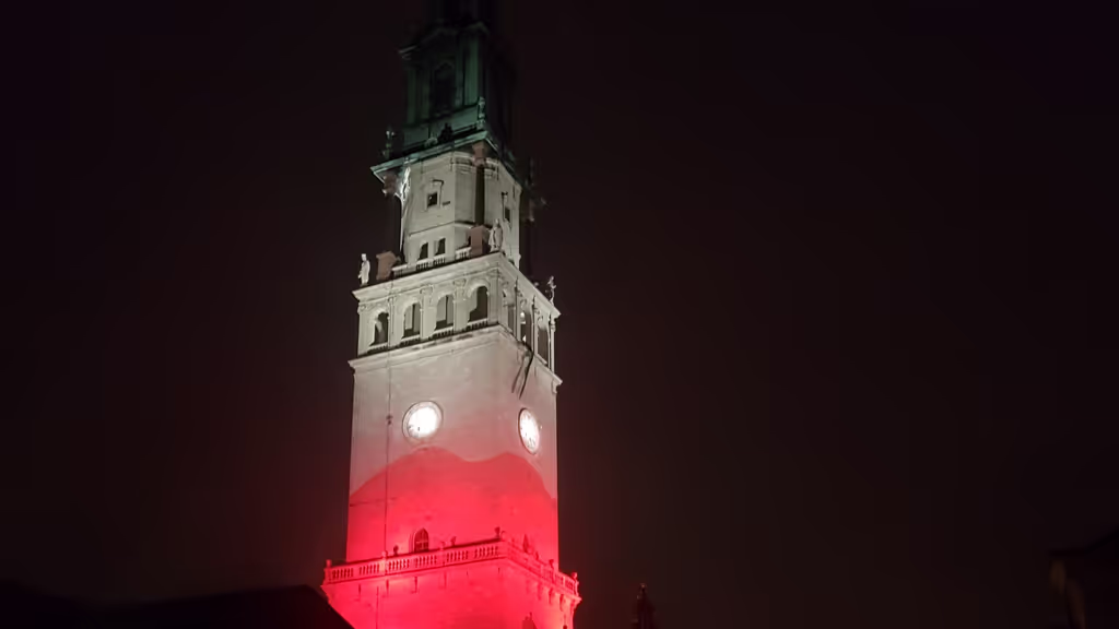 Krakow Private Tour - Tower of Basilica