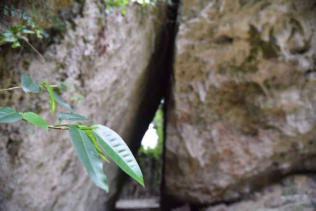 Okinawa Main Island Private Tour - Sefa Utaki