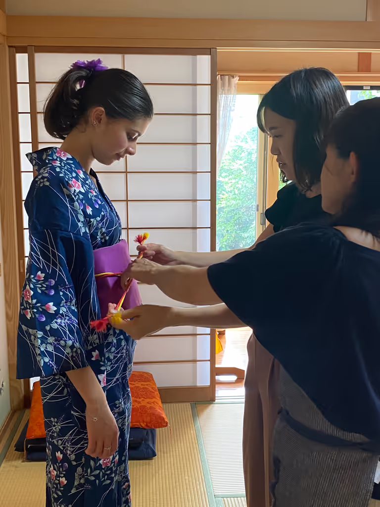 Aichi Private Tour - null