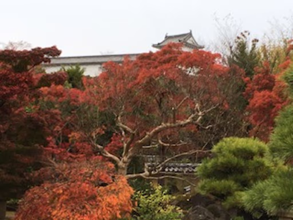 Hyogo Private Tour - Kokoen with the castle