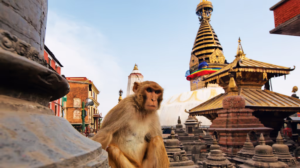 Bagmati Private Tour - Swayambu Chaitya