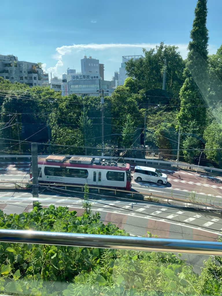 Tokyo Private Tour - View of the Tram from Asukayama park