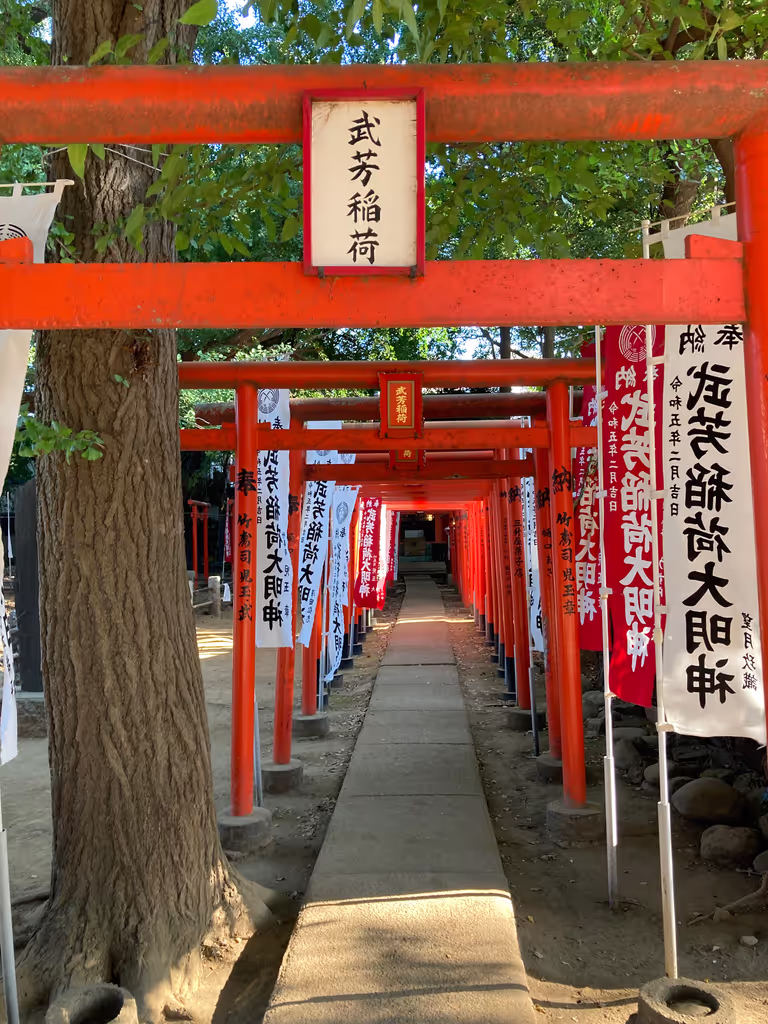 Tokyo Private Tour - Takeyoshi Inari