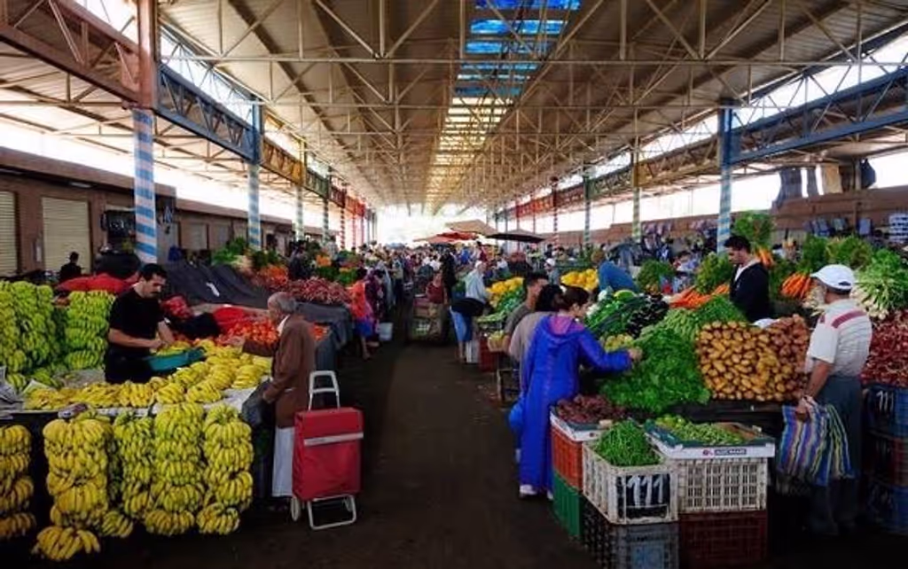 Agadir Private Tour - null
