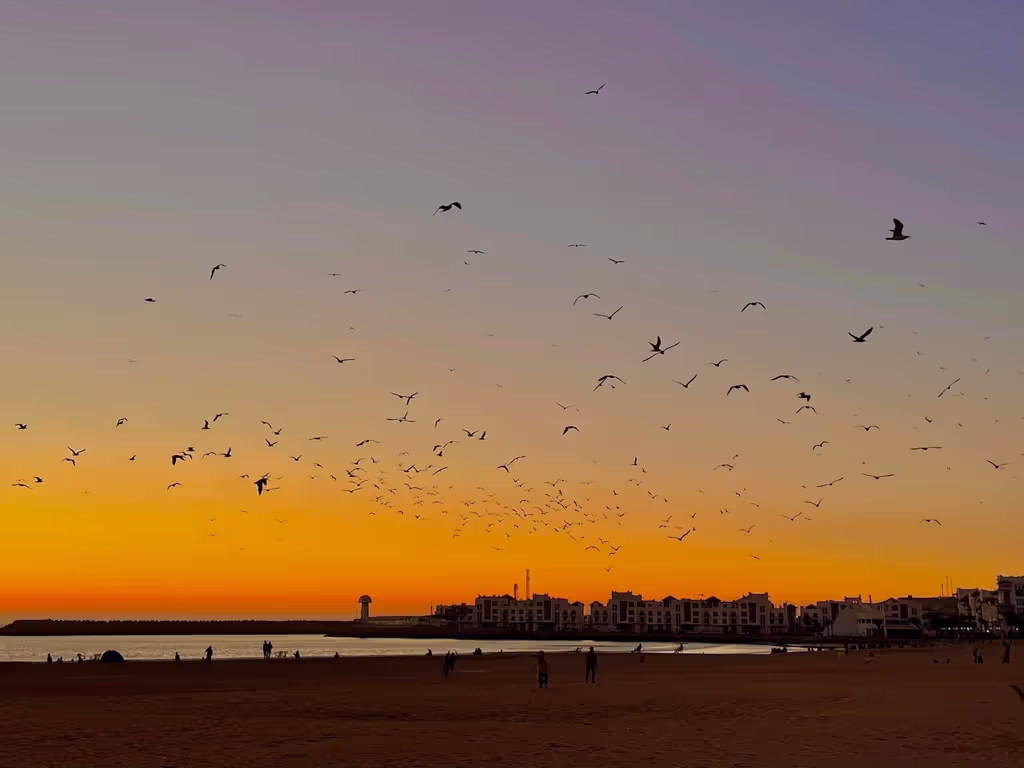 Agadir Private Tour - null