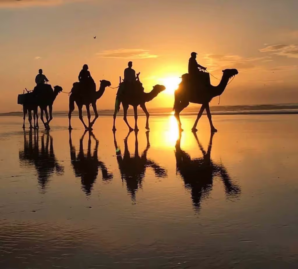 Agadir Private Tour - null