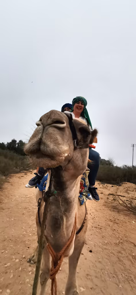 Agadir Private Tour - null