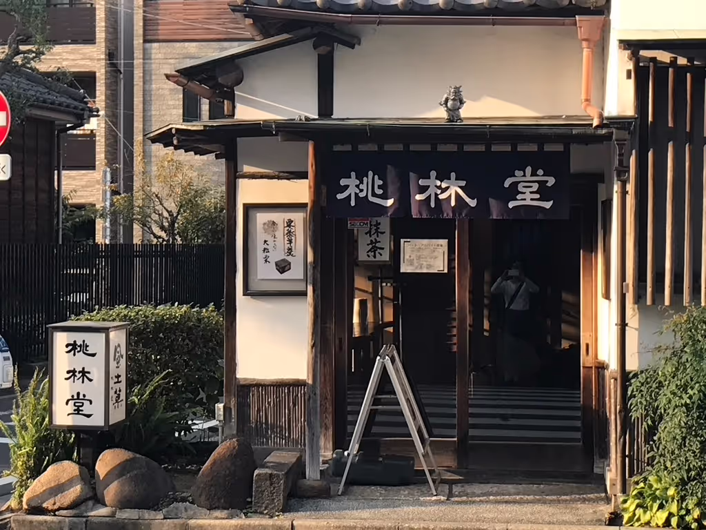 Tokyo Private Tour - null