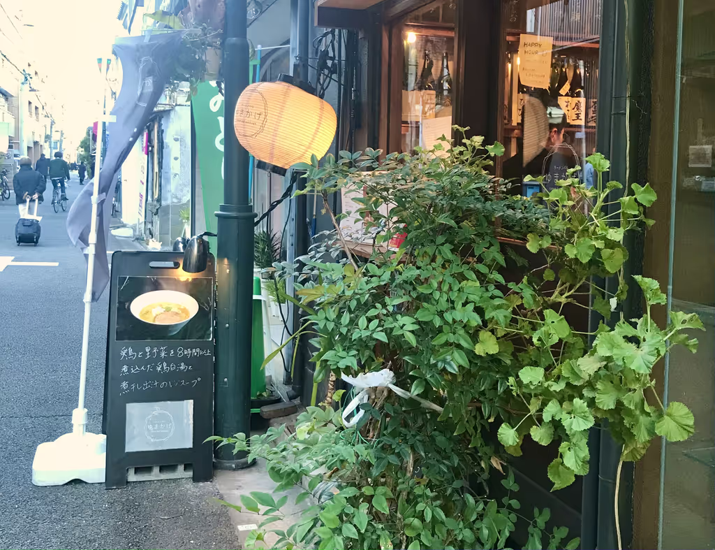 Tokyo Private Tour - null