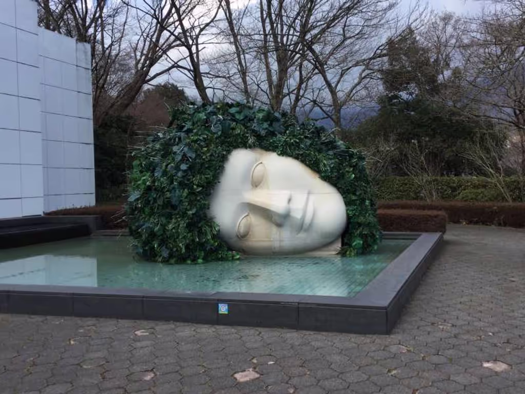 Hakone Private Tour - Option#B.Open Air Museum