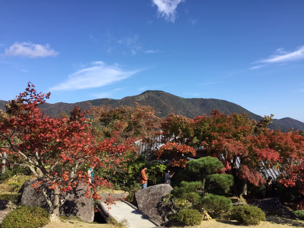 Hakone Private Tour - Plan B special#3: Hakone Museum, view from garden