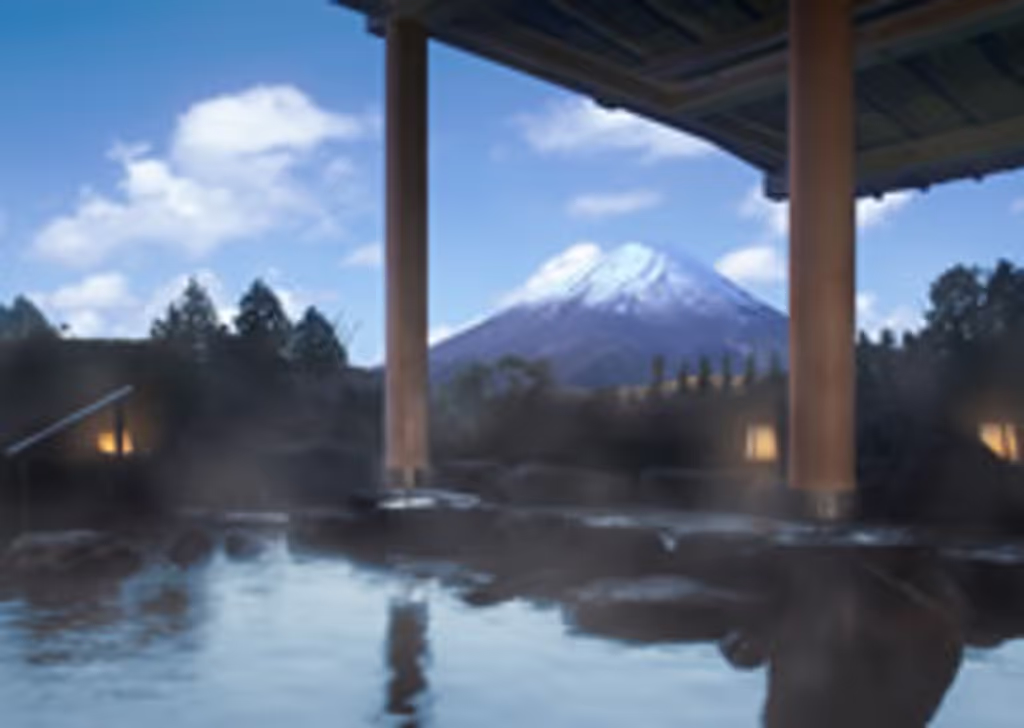 Hakone Private Tour - Plan A extension: Public hot bath with Mt. Fuji