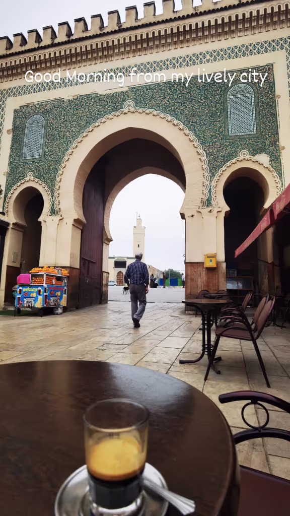 Fes Private Tour - null