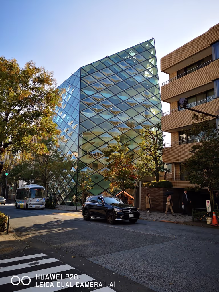 Tokyo Private Tour - null