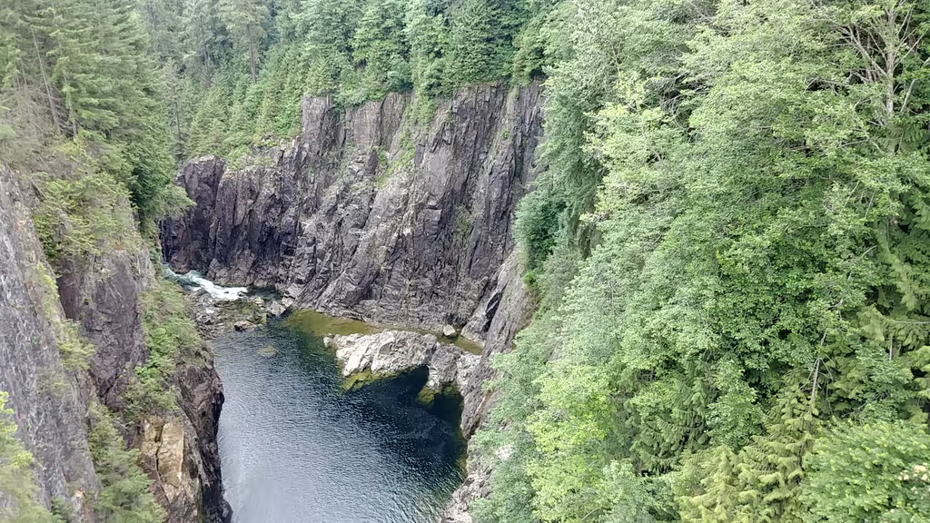 Vancouver Private Tour - Capilano River Canyon, Cleveland Dam, North Vancouver