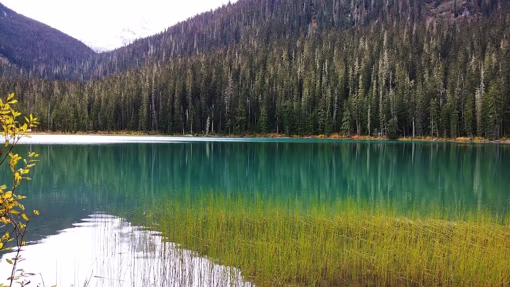 Vancouver Private Tour - Joffre Lake, Duffy Lake Road, Pemberton, BC