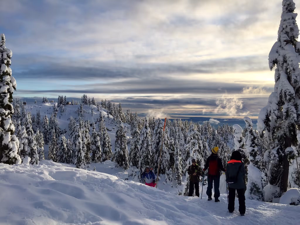 Vancouver Private Tour - Happy snowshoers 