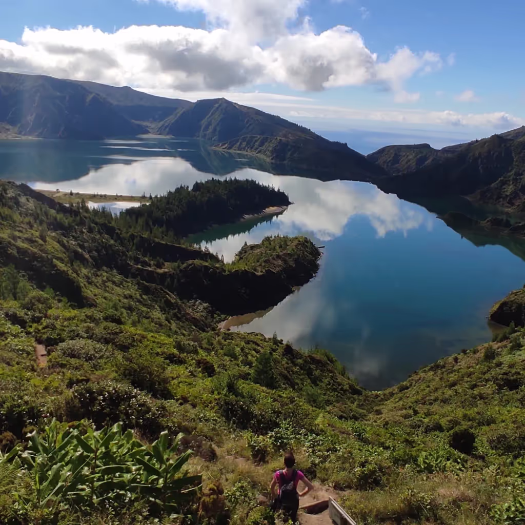 Ponta Delgada Private Tour - null