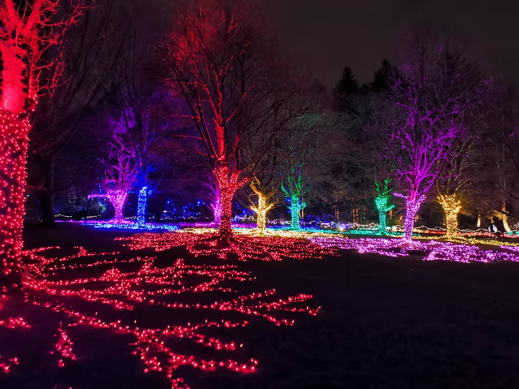 Vancouver Private Tour - Van Dusen Botanical Gardens, Vancouver