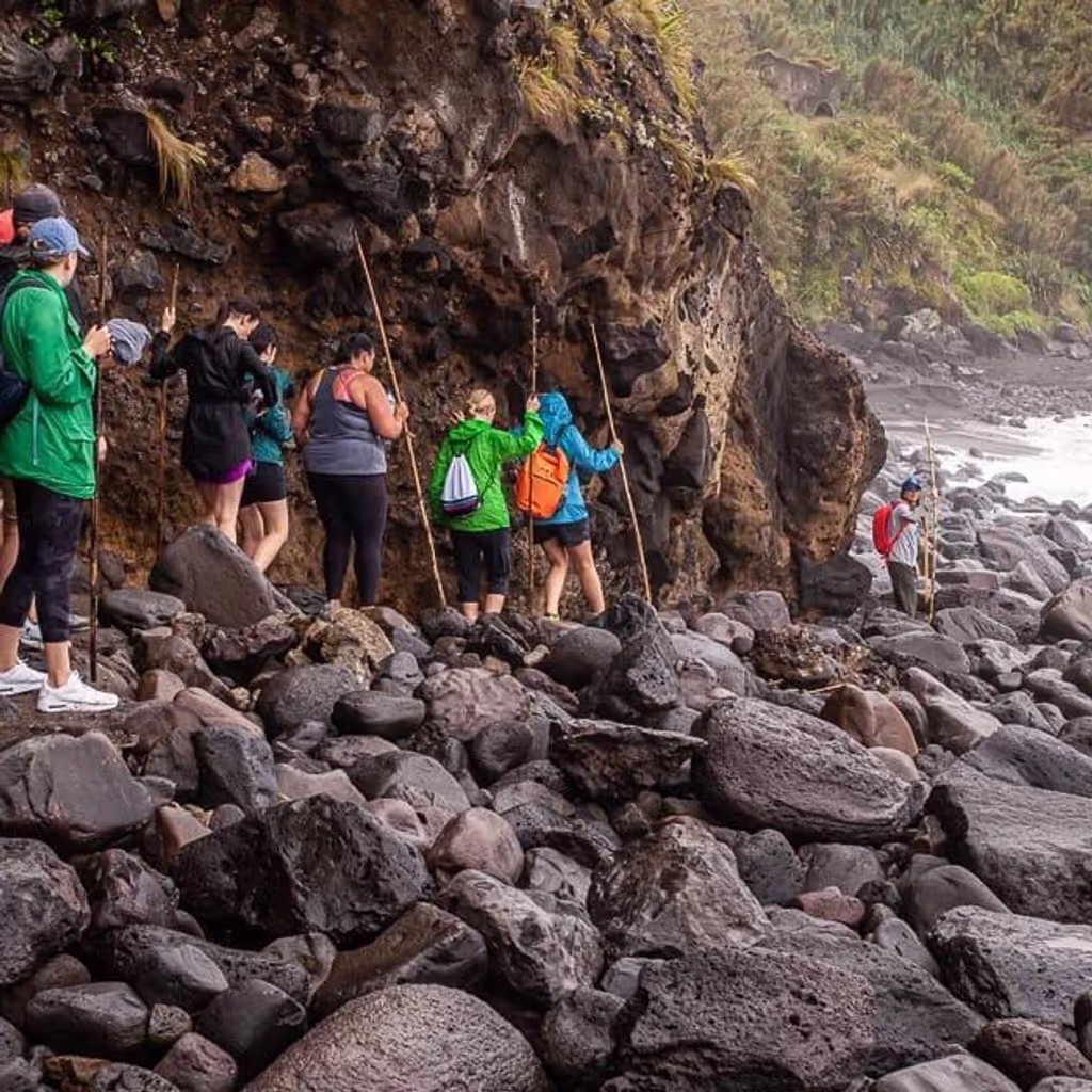 Ponta Delgada Private Tour - null