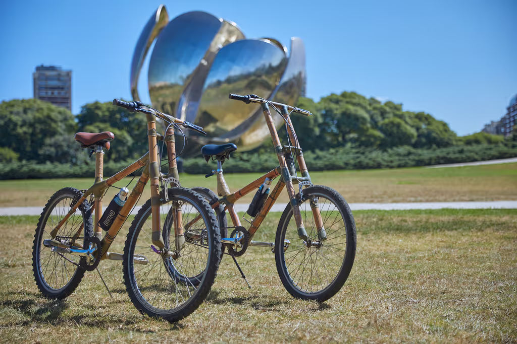 Buenos Aires Private Tour - Floralis Generica