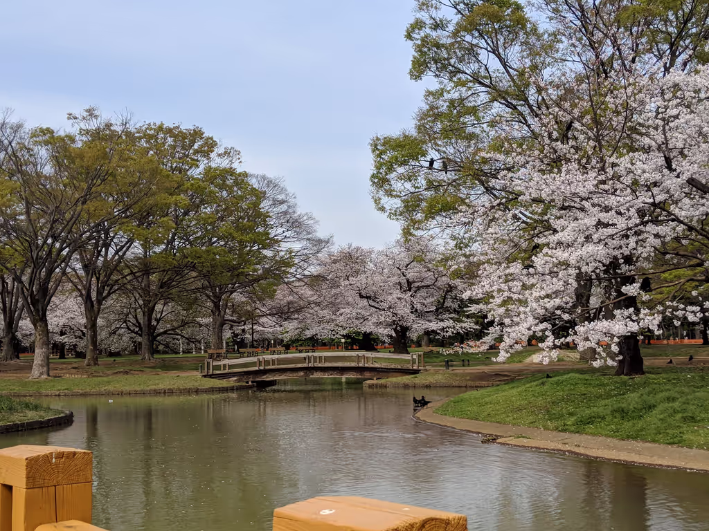 Tokyo Private Tour - Yoyogi Park