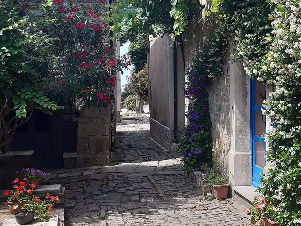 Istria Private Tour - 