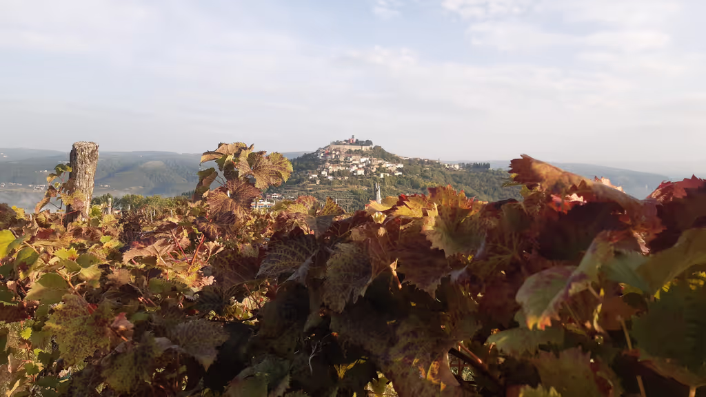 Istria Private Tour - 