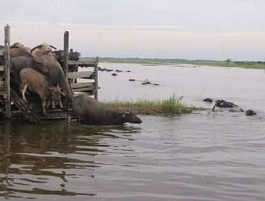 South Kalimantan Private Tour - Looking for something to eat 