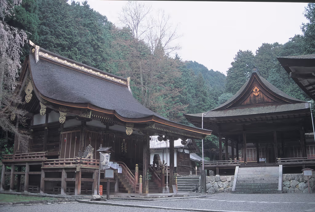 blog image