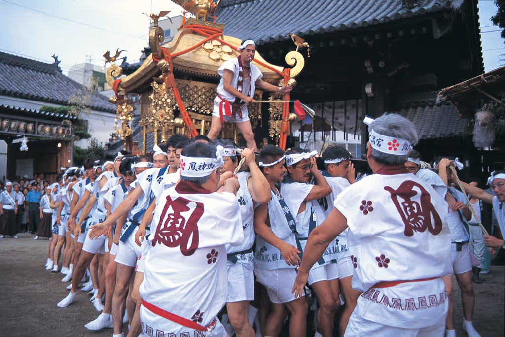 blog image