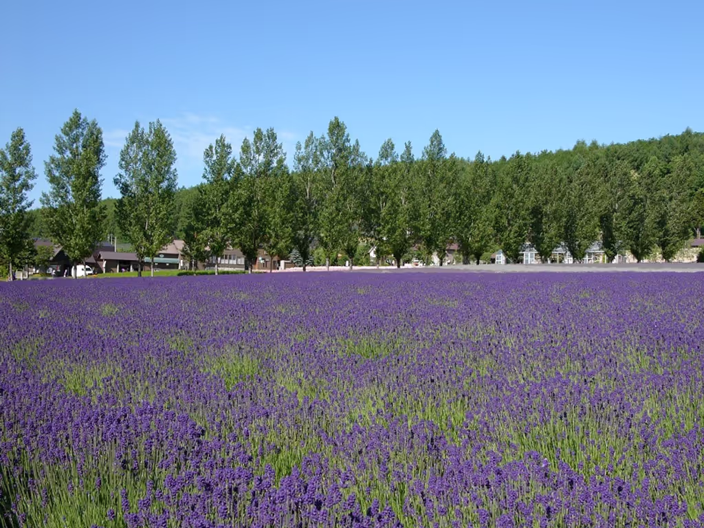blog image