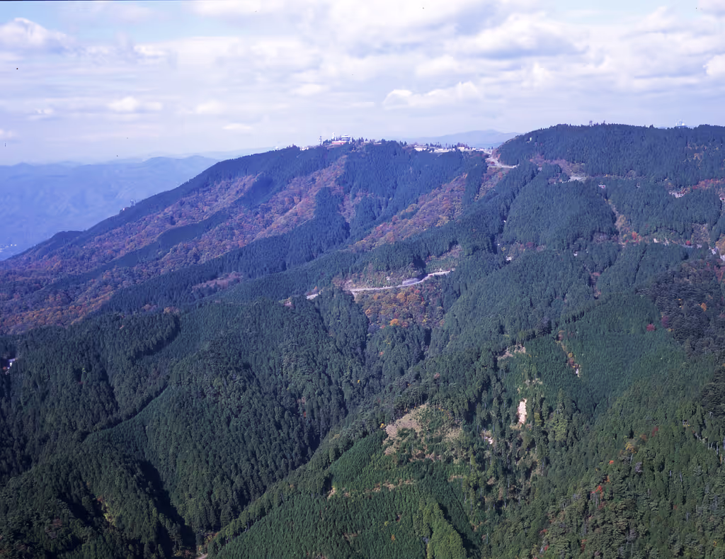 blog image