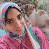 Egypt Tour Guide - Safy A.