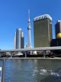 Old/New, Quiet/Noisy Tokyo - 3
