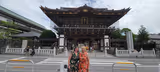Three-hour tour to Naritasan Temple from Narita - 1