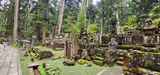 Popular Wakayama Koyasan Trip - where nature and historical buildings come together - 3