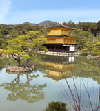 Hiro's Kamakura As-you-like One-day Tour - 1