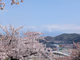 Iga Ninja Museum one day tour from Kinjo Futo Nagoya Port (for cruise passengers) - 3