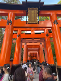 Kyoto Full Day Private Tour - 1