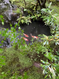 Mystical Journey Through Kurama, Okunoin, and Kifune - 2