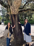 Fatima Batalha Nazare and Obidos Private Tour - 1