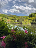 Must see spots in Kyoto and Nara in a day (8 hours) - 4
