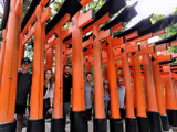 Must see spots in Kyoto and Nara in a day (8 hours) - 1