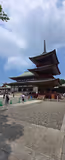 Ueno & Narita: Shinshoji Temple and traditional Narita town - 2