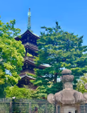 Tokyo One Day Customized Tour - 3