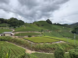 Another Side of Kyoto: Exploring Uji and Wazuka – Home of Japanese Green Tea - 1