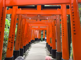 【7hours】Time Travel Tour in Kyoto - 2