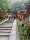 The Tengu's Trail: Into the Heart of Kurama’s Mystical Mountain - 2