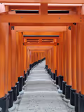1 day special customized tour in Kyoto - 2